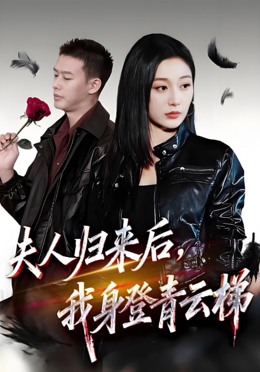 夫人归来后我身登青云梯（夫人助我踏巅峰）(全集)