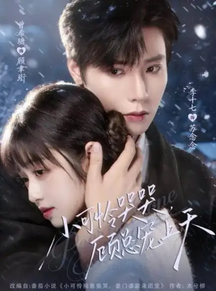 小可怜哭哭顾总宠上天（小可怜揣崽顾总宠上天）(全集)