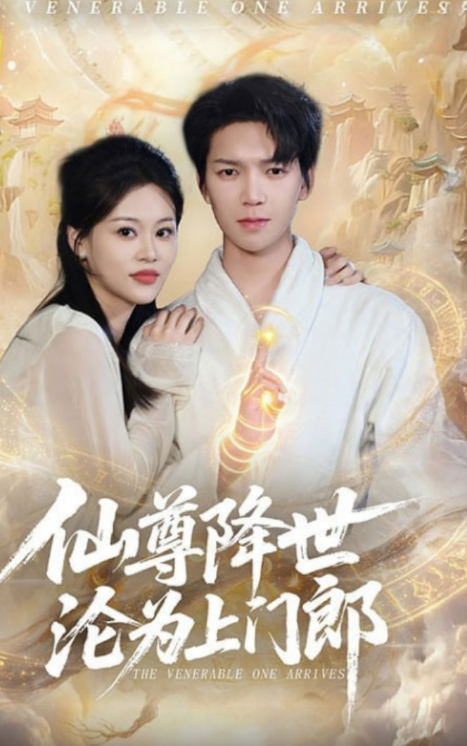 仙尊降世沦为上门郎(全集)